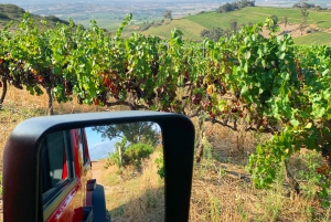 Cape Town: Private Jeep Constantia Wine Tour with Tastings