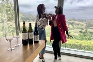 Kaapstad: privé Jeep Constantia-wijntour met proeverijen