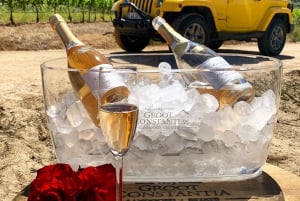 Kapstaden: Privat vinresa med Jeep Constantia Wine Tour med vinprovningar