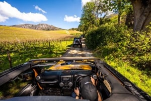 Le Cap : Circuit privé en Jeep Constantia Wine Tour avec dégustations