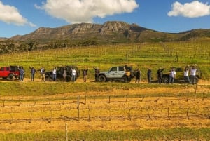 Ciudad del Cabo: Excursión privada en jeep por Constantia con degustaciones