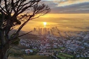 Cape Town: Private Lion's Head Sunrise & Sunset Guided Hike
