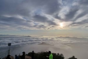Cape Town: Private Lion's Head Sunrise & Sunset Guided Hike