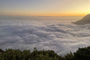 Cape Town: Private Lion's Head Sunrise & Sunset Guided Hike