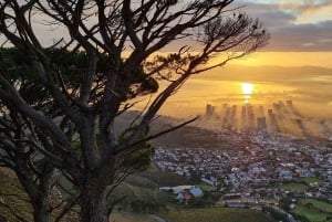 Cape Town: Private Lion's Head Sunrise & Sunset Guided Hike