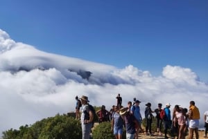 Cape Town: Private Lion's Head Sunrise & Sunset Guided Hike