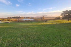 Kapsztad: prywatna wycieczka quadami, winiarską i diamentową