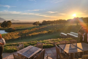 Kapsztad: prywatna wycieczka quadami, winiarską i diamentową