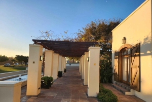 Kapsztad: prywatna wycieczka quadami, winiarską i diamentową