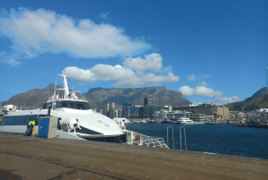 Ciudad del Cabo: tour privado de medio día a la isla Robben con recogida