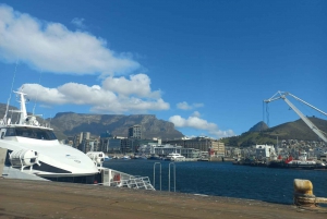 Ciudad del Cabo: tour privado de medio día a la isla Robben con recogida