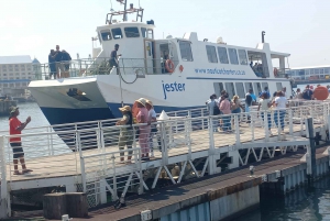 Ciudad del Cabo: tour privado de medio día a la isla Robben con recogida