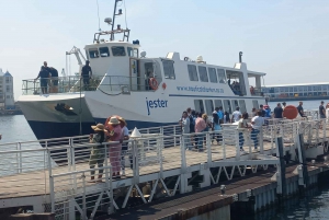 Ciudad del Cabo: tour privado de medio día a la isla Robben con recogida