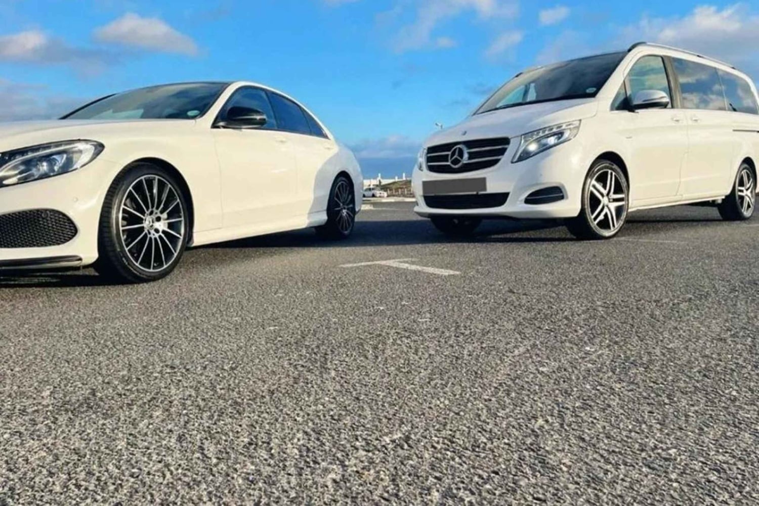 ケープタウン：アクイラ・ゲーム・リザーブでのプライベート・サファリ・ドライブ