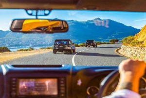 ケープタウン：アクイラ・ゲーム・リザーブでのプライベート・サファリ・ドライブ