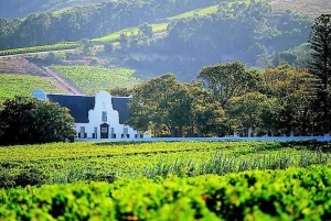 Cape Town: Privat tur i Stellenbosch og Franschhoek Wine Tour