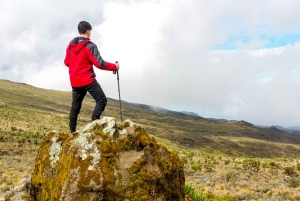 Ciudad del Cabo: Excursión guiada privada a la Montaña de la Mesa con servicio de recogida