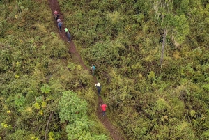 Ciudad del Cabo: Excursión guiada privada a la Montaña de la Mesa con servicio de recogida