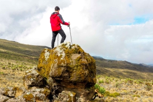 Ciudad del Cabo: Excursión guiada privada a la Montaña de la Mesa con servicio de recogida