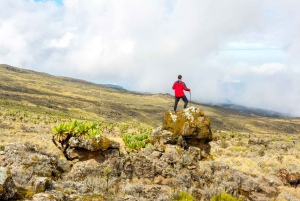 Ciudad del Cabo: Excursión guiada privada a la Montaña de la Mesa con servicio de recogida