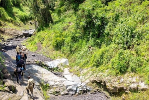 Ciudad del Cabo: Excursión guiada privada a la Montaña de la Mesa con servicio de recogida