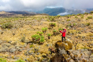 Ciudad del Cabo: Excursión guiada privada a la Montaña de la Mesa con servicio de recogida