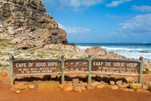 Cape Town privat tur: Kap Det Gode Håb og pingviner