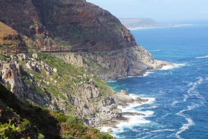 Kapkaupunki Yksityinen kiertoajelu: Cape of Good Hope ja pingviinit