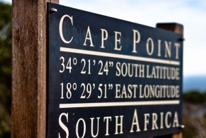 Kapstaden privat rundtur: Godahoppsudden och pingviner