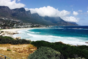 Cape Town Private Tour zum Kap der Guten Hoffnung und zu den Pinguinen