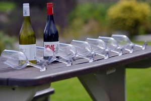 Cape Town Private Tour zum Kap der Guten Hoffnung und zu den Pinguinen