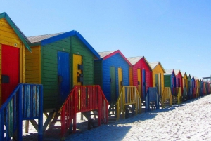 Cape Town Private Tour zum Kap der Guten Hoffnung und zu den Pinguinen