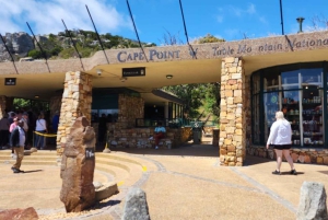 Tour privado por la península del Cabo