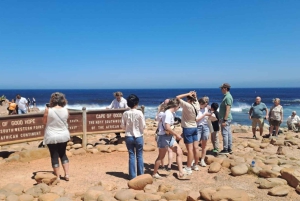 Tour privado por la península del Cabo