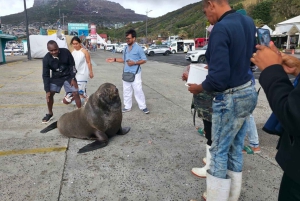 Tour privado por la península del Cabo