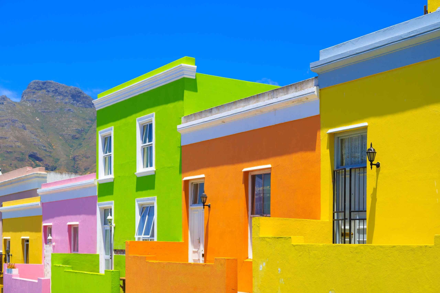 Città del Capo: Tour privato della Penisola del Capo e delle Terre del Vino