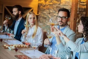 Cape Town: Privat tur til Cape Peninsula og Winelands