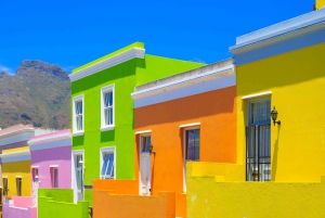 Cape Town: Privat tur til Cape Peninsula og Winelands