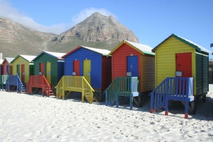 Cape Town: Privat tur til Cape Peninsula og Winelands