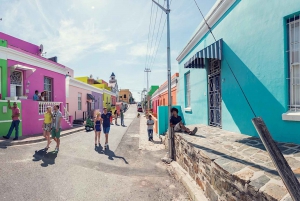 Cape Town Private Tour zum Kap der Guten Hoffnung und zu den Pinguinen