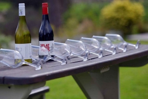 Cape Town Private Tour zum Kap der Guten Hoffnung und zu den Pinguinen