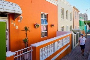 Cape Town Private Tour zum Kap der Guten Hoffnung und zu den Pinguinen