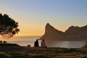 Cape Town Private Tour zum Kap der Guten Hoffnung und zu den Pinguinen