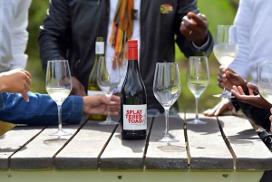 Cape Town Private Tour zum Kap der Guten Hoffnung und zu den Pinguinen