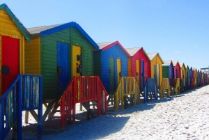Cape Town Private Tour zum Kap der Guten Hoffnung und zu den Pinguinen