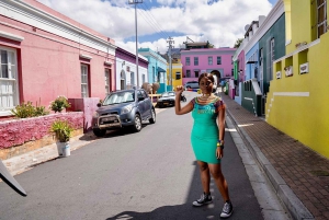 Cape Town Private Tour zum Kap der Guten Hoffnung und zu den Pinguinen