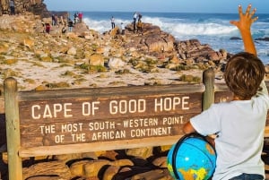 Kapkaupunki Yksityinen retki Hyvän toivon niemelle ja pingviineille