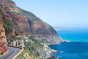 Kapkaupunki Yksityinen retki Hyvän toivon niemelle ja pingviineille