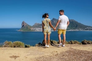 Kapkaupunki Yksityinen retki Hyvän toivon niemelle ja pingviineille