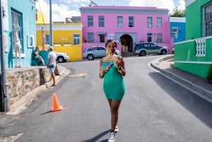 Kapkaupunki Yksityinen retki Hyvän toivon niemelle ja pingviineille